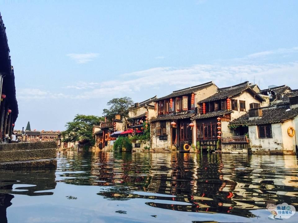 救援小白狼